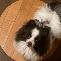 processed/6906a0bb-b37b-47cf-a733-7d9608f0d1f2/listing/4d2ff129-f924-4417-8a58-30d4f4970f2c/5461d149-2eb3-46e6-8a0f-4fe5b8559c8d