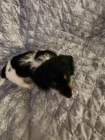 processed/69164597-2d8b-4b70-a1e0-cbe3447215f5/listing/7f8c9bef-088e-4231-82b9-ead5543c7052/d21c037a-93ba-4c68-9416-d7a8ce2b02e1