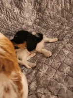 processed/69164597-2d8b-4b70-a1e0-cbe3447215f5/listing/7f8c9bef-088e-4231-82b9-ead5543c7052/d6967944-60ae-4b1a-b360-42aa2731f877