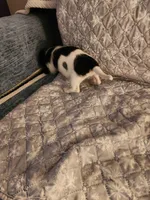 processed/69164597-2d8b-4b70-a1e0-cbe3447215f5/listing/7f8c9bef-088e-4231-82b9-ead5543c7052/dcf25053-58a0-4e14-9174-c90dba5a6569