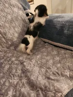 processed/69164597-2d8b-4b70-a1e0-cbe3447215f5/listing/7f8c9bef-088e-4231-82b9-ead5543c7052/f073d17f-22a1-4a2b-980a-edf4daa9f8a8