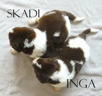 processed/691e38e5-6e02-4c41-a274-b6c1fa12dc9f/listing/083b8d06-048f-4540-ad89-239d8fc31714/29a4a241-d136-4f01-8dbe-673c6d1c1400