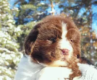 processed/691e38e5-6e02-4c41-a274-b6c1fa12dc9f/listing/083b8d06-048f-4540-ad89-239d8fc31714/341c9479-90ef-4d25-b63b-fb3d077bbb6a