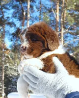 processed/691e38e5-6e02-4c41-a274-b6c1fa12dc9f/listing/083b8d06-048f-4540-ad89-239d8fc31714/4f1e8e21-b788-4028-8170-ea69d8fe525f