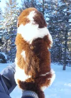 processed/691e38e5-6e02-4c41-a274-b6c1fa12dc9f/listing/083b8d06-048f-4540-ad89-239d8fc31714/aec23047-c2b8-4070-84bf-91ba3a5e07b8