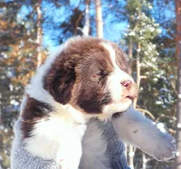 processed/691e38e5-6e02-4c41-a274-b6c1fa12dc9f/listing/3f72879b-6576-4095-bb38-27e508015dd5/201eebb5-9225-4fc3-8741-c6739e58792b