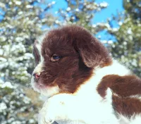 processed/691e38e5-6e02-4c41-a274-b6c1fa12dc9f/listing/3f72879b-6576-4095-bb38-27e508015dd5/336f6687-0979-4154-8d0d-2ebd09061079