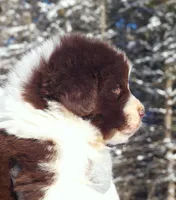 processed/691e38e5-6e02-4c41-a274-b6c1fa12dc9f/listing/3f72879b-6576-4095-bb38-27e508015dd5/37e1b2b8-91cd-4a75-92b6-f4d34d3da923