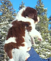 processed/691e38e5-6e02-4c41-a274-b6c1fa12dc9f/listing/3f72879b-6576-4095-bb38-27e508015dd5/6655660d-2e44-4716-b5c7-2a208c803289