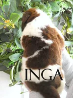 processed/691e38e5-6e02-4c41-a274-b6c1fa12dc9f/listing/3f72879b-6576-4095-bb38-27e508015dd5/fc470e4b-4a1b-4389-aa00-3759eccf3961