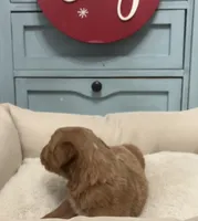 processed/6928485d-95a4-4410-884f-52ecc73115b1/listing/d4eda992-b4de-4c1d-9a6a-62158864a4fa/4d6ff7ed-4be7-4afc-9290-fc7366e99eb1