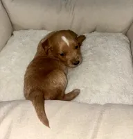 processed/6928485d-95a4-4410-884f-52ecc73115b1/listing/d4eda992-b4de-4c1d-9a6a-62158864a4fa/52b3a225-2864-4d6c-a0ef-2b1583453090