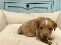 processed/6928485d-95a4-4410-884f-52ecc73115b1/listing/d4eda992-b4de-4c1d-9a6a-62158864a4fa/5e3cc032-660c-4b8d-bb71-fbc76eb28bef