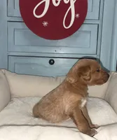 processed/6928485d-95a4-4410-884f-52ecc73115b1/listing/d4eda992-b4de-4c1d-9a6a-62158864a4fa/80aef2ef-a94b-4d7a-94ea-3c348942f666