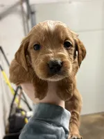 processed/6928485d-95a4-4410-884f-52ecc73115b1/listing/d4eda992-b4de-4c1d-9a6a-62158864a4fa/aaaec2bb-4c05-48fe-b157-9fafbeef48e3