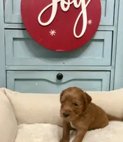 processed/6928485d-95a4-4410-884f-52ecc73115b1/listing/eacd582e-030d-4561-b745-b97c2948dc6d/4d893486-6414-4cc7-b6ed-a78bd118faf1