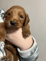 processed/6928485d-95a4-4410-884f-52ecc73115b1/listing/eacd582e-030d-4561-b745-b97c2948dc6d/4fe193ed-7c0f-4935-b3f6-31191ebcad95