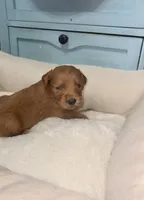 processed/6928485d-95a4-4410-884f-52ecc73115b1/listing/eacd582e-030d-4561-b745-b97c2948dc6d/a2a16883-34bd-49ab-bf04-9bd277ad3c87