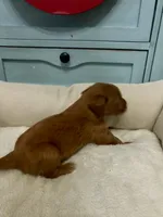 processed/6928485d-95a4-4410-884f-52ecc73115b1/listing/eacd582e-030d-4561-b745-b97c2948dc6d/e528c3fe-98c7-47be-b93f-99cf21bdb9ca