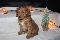 processed/69498d9b-9ced-43dc-8e26-a02b2b964585/listing/d4e332d3-f985-4ccc-ab92-b1fd02cfc7d1/8e44084d-6185-44ab-86b5-773013afed27