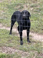 processed/694c54b8-647c-4133-980e-fd645964d768/listing/d33b3725-715c-4447-95e3-b40d5332aa28/3f60df35-d280-4342-b7a4-e2df90645ee2