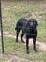 processed/694c54b8-647c-4133-980e-fd645964d768/listing/d33b3725-715c-4447-95e3-b40d5332aa28/5e4aee5f-ea62-4c7e-8681-05d05cef334f