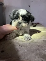 processed/694f69c0-3ee9-41df-98e2-1576b5b0f324/listing/1d36aa96-dd92-4fc5-928b-8e54aa5e7777/37ed9b54-d6b7-4733-8bdb-29e7810226b7