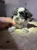 processed/694f69c0-3ee9-41df-98e2-1576b5b0f324/listing/1d36aa96-dd92-4fc5-928b-8e54aa5e7777/86714dbd-0b7f-4ded-9c6e-0d27688d30c4