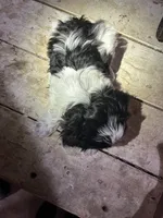 processed/694f69c0-3ee9-41df-98e2-1576b5b0f324/listing/1d36aa96-dd92-4fc5-928b-8e54aa5e7777/8b54be73-45ab-43ae-90f6-b6aefa184494