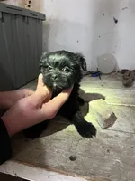 processed/694f69c0-3ee9-41df-98e2-1576b5b0f324/listing/7dd27121-b8d4-4050-a43d-ddd497844ebd/cbfbe800-e696-4bc6-b5cd-5ceb10f1fe7a