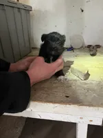 processed/694f69c0-3ee9-41df-98e2-1576b5b0f324/listing/f3327744-285b-4b90-99fa-ee7cb2089465/c8758b21-4d00-4e5a-b6f2-dcd94f862acb