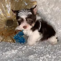 processed/695463ae-b7fd-46a2-aec7-7af4080070a5/facility/45b7ab38-27df-4367-8de8-5c489b91cc35