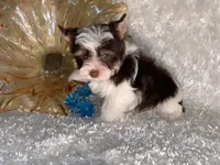 processed/695463ae-b7fd-46a2-aec7-7af4080070a5/facility/45b7ab38-27df-4367-8de8-5c489b91cc35