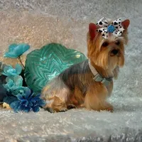 processed/695463ae-b7fd-46a2-aec7-7af4080070a5/facility/6e9ac5f7-a924-4ef0-8069-ed5ed127a801