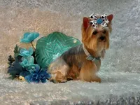 processed/695463ae-b7fd-46a2-aec7-7af4080070a5/facility/6e9ac5f7-a924-4ef0-8069-ed5ed127a801