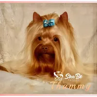 processed/695463ae-b7fd-46a2-aec7-7af4080070a5/facility/73e01f65-be02-444e-954a-decaa910f9ae