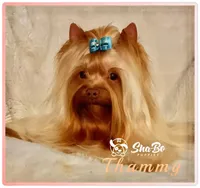 processed/695463ae-b7fd-46a2-aec7-7af4080070a5/facility/73e01f65-be02-444e-954a-decaa910f9ae