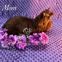 processed/695463ae-b7fd-46a2-aec7-7af4080070a5/facility/75799628-48e8-476f-9b18-bacbee5124c4