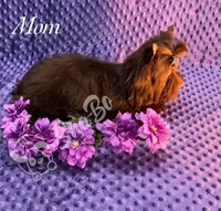 processed/695463ae-b7fd-46a2-aec7-7af4080070a5/facility/75799628-48e8-476f-9b18-bacbee5124c4