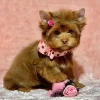 processed/695463ae-b7fd-46a2-aec7-7af4080070a5/facility/84383fd9-505e-439d-9ba8-1c916787af59