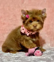 processed/695463ae-b7fd-46a2-aec7-7af4080070a5/facility/84383fd9-505e-439d-9ba8-1c916787af59