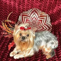 processed/695463ae-b7fd-46a2-aec7-7af4080070a5/facility/8b2fcaa1-0ab1-494a-8c9c-85ea11431a84