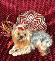 processed/695463ae-b7fd-46a2-aec7-7af4080070a5/facility/8b2fcaa1-0ab1-494a-8c9c-85ea11431a84