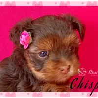 processed/695463ae-b7fd-46a2-aec7-7af4080070a5/facility/97f31aba-259f-4ac0-a40b-aefab3ea93d5