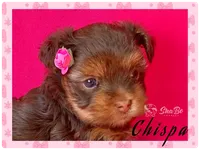 processed/695463ae-b7fd-46a2-aec7-7af4080070a5/facility/97f31aba-259f-4ac0-a40b-aefab3ea93d5