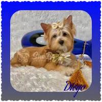 processed/695463ae-b7fd-46a2-aec7-7af4080070a5/facility/98ac3f86-1c6e-4551-a4f3-7ec044f8c2cc