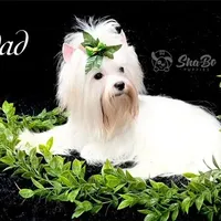 processed/695463ae-b7fd-46a2-aec7-7af4080070a5/facility/bea66ba5-95a7-44d4-a551-e015936029c2