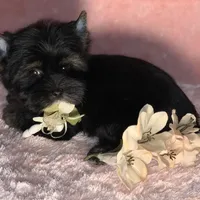 processed/695463ae-b7fd-46a2-aec7-7af4080070a5/facility/c0dccc0c-df72-4c2a-a52e-8e3e717bc36f