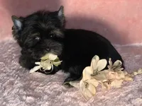 processed/695463ae-b7fd-46a2-aec7-7af4080070a5/facility/c0dccc0c-df72-4c2a-a52e-8e3e717bc36f