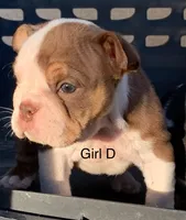 processed/6967d350-54c0-45fe-a5a9-13794e01cc62/listing/41a09928-b1ab-47a0-95e5-00a08fe461dd/5355fc29-c1a9-4b37-b1b5-fee3328da47f